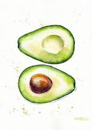 Ensemble De 4 Avocat Aquarelle Print Impression De Peinture Illustration Avocat Wall Decor Sweet Mode Print Fruit Alimentaire Cuisine Illustration D Aquarelle Aquarelle Et Nourriture Aquarelle
