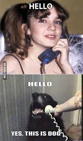 #3262,dana plato,different strokes,11x17 poster size photo. Dana Plato From Different Strokes A Call From A Big Fan 9gag