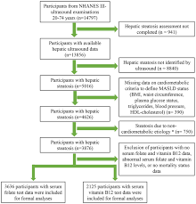 Image result for Serum Folate