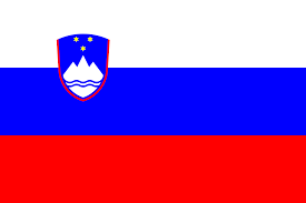 Team Logo 1