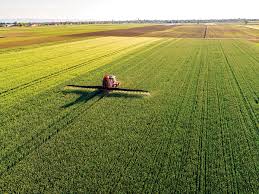 Production and distribution of organic foods: Communities That Take Agriculture Food Production To The Next Level Trade And Industry Development