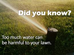 Maybe you would like to learn more about one of these? Tips For Summer Irrigation Lawn Doctor