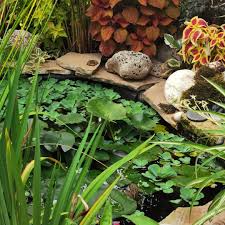 Garden Pond Repairs Near Me Fish Ponds Backyard Small Fish Pond Outdoor Fish Ponds