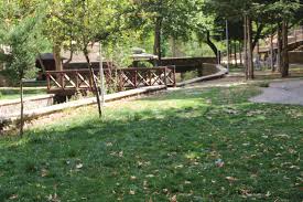 DEDE PARKI'NDA ÇİMLER YENİLENİYOR...