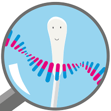 Nur in seltenen fällen kann ein vaterschaftstest vor der geburt durchgeführt werden, da eine solche analyse nur unter bestimmten voraussetzungen zulässig ist. Dna Vaterschaftstest Vaterschaftstest Resultan De