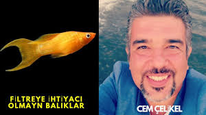 Hamburg Sunger Filtresi Nedir Akvaryumun En Iyi Ic Filtresinin Yapimi Pipo Dis Filtrelerden Farki Youtube