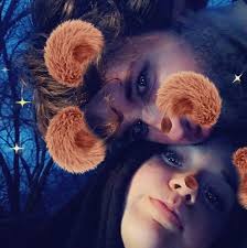 Action plan for Minnesota community problem