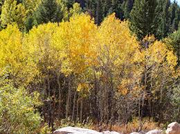 Profile for Aynes Photography