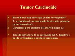 They usually start in the lining of the in later stages the tumors sometimes produce hormones that can cause carcinoid. Tumores De Ovario Dra Alma Iris Ortiz M