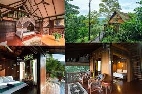 View property photos & details, learn more about the neighborhood, and find your next sort: Pet Friendly Hotels In Malaysia A Road Trip With Fido Pledgecare