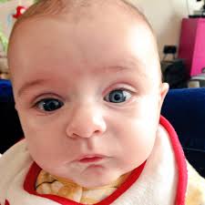 Eve Foley (@evekennedyfoley)