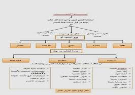 الهيئة العامة للزكاة والدخل (مصلحة الزكاة والدخل سابقا) هى إحدى الجهات الحكومية التي تهدف الى جباية الزكاة، وتحصيل الضرائب، وتوفير خدمات عالية الجودة للمكلفين. Ø§Ù„Ø¹Ø¯Ø¯ 35 Ù…Ø¬Ù„Ø© ÙƒÙ„ÙŠØ© Ø§Ù„ØªØ±Ø¨ÙŠØ© Ø§Ø£Ù„Ø³Ø§Ø³ÙŠØ© Ù„Ù„Ø¹Ù„ÙˆÙ… Ø§Ù„ØªØ±Ø¨ÙˆÙŠØ© ÙˆØ§Ø¥Ù„Ù†Ø³Ø§Ù†ÙŠØ© Ø¬Ø§Ù…Ø¹Ø© Ø¨Ø§Ø¨Ù„ ØªØ´Ø±ÙŠÙ† Ø£ÙˆÙ„ 2017 Ù… Ø£Ø«Ø± Ø§Ø³ØªØ¹Ù…Ø§Ù„ Ø§Ø³Øª Ø§Ø±ØªÙŠØ¬ÙŠØ© Ø§Ù„ØªØ¹Ù„ÙŠÙ… Ø§Ù„Ù…ØªÙ…Ø§ÙŠØ² ÙÙŠ ØªØ­ØµÙŠÙ„ ØªØ§Ù„Ù…ÙŠ Pdf Free Download