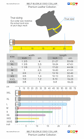 Belt Buckle Dog Collar Sizing Chart Petstuffmart Com Dog