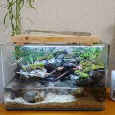 Mini Simple Paludarium Design Nature Aquarium Freshwater Aquarium Fish Tank