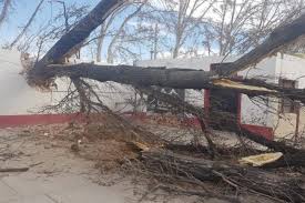 13 hours ago · desde hace unos días, el viento zonda, que se caracteriza por ser seco y cálido, se mantenía en altura y ya durante la madrugada de ayer bajó al llano en algunas zonas del gran mendoza. Incendios Destrozos Y Una Muerte Por El Zonda En Mendoza