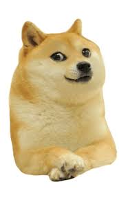 Doge png resources are for free download on yawd. Younger Doge Free Png Dogelore