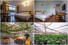 Explore best hotels in cameron with so much to see and explore, cameron highlands hotels by oyo, located close to the major tourist attractions, are a great choice for a wonderful stay. 23 Hotel Murah Di Cameron Highland Percutian Bajet Rm100 Rm200