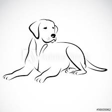 Vector image of an dog labrador | Proste rysunki, Rysunek, Rysunki