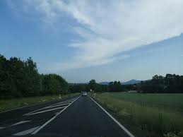 Pilzberatung Sachsen Meinelausitz Sachsen