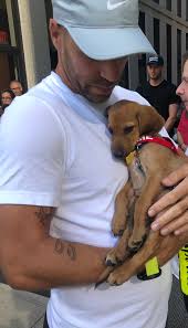Keys beats fatigued bencic in qatar. Belinda Bencic Na Twitteri Ok So I Fell In Love With This Puppy From Pupstarzrescue And I Really Want To Adopt Him If I Could Is Someone Please Going To Do It