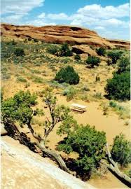 Moab is a town in the utah's canyon country and a gateway to the nearby arches national park other places named devils garden campground. Devils Garden Campground Arches National Park Moab Utah Womo Abenteuer