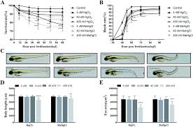 Comparative Effects Of Mercury Chloride And Methylmercury