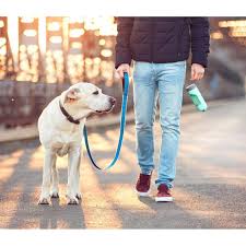 Justgreenbox - Bouteille d'eau portable pour chien, distributeur d'eau d'alimentation, Vert - Gamelle pour chien - Rue du Commerce