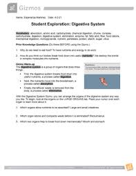 Stem cases, handbooks and the associated realtime reporting system are protected by us patent no. Student Exploration Digestive System Answers The Digestive System Worksheets Teaching Resources Tpt All Access To Gizmo Student Exploration Digestive System Answer Key Pdf Mojapapierowakraina