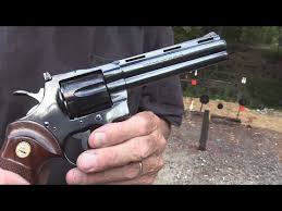 Image result for Yorkshire Cream 1981 Colt