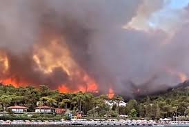 Животные погибают в огне, а туристы пакуют вещи и уезжают из курортов турция в огне: Lesnye Pozhary V Turcii Okruzhili Marmaris Idet Evakuaciya Turistov Video Vestnik Kavkaza