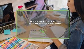 What Are Crypto Tld Domain Extensions Nichemarket
