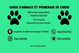 Promenade et garde d'animaux de compagnie avec Pat' panique