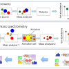 Mass spectrometers are versatile, sensitive instruments that provide accurate gas analysis by ionizing gas atoms and separating them out into a spectrum, allowing identification of the gas components. Https Encrypted Tbn0 Gstatic Com Images Q Tbn And9gcsbvjerqkepsionhpdw0eh1vvkixnam Kmhhtjtz 6h1jywcud9 Usqp Cau