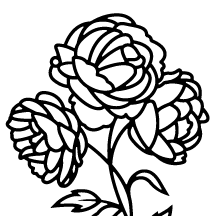 Shop.alwaysreview.com has been visited by 1m+ users in the past month Import Flowers Home Facebook