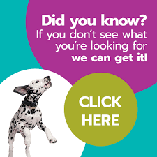 If you like what you see, be sure to inquire us today! Puppies For Sale In Chicago Naperville Illinois Petland Pets