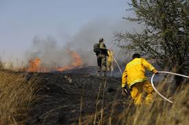 Risultati immagini per burning fields israel