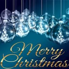 Roliga djur memes roliga djurbilder gulliga djurungar 22 gratis bildbanker med gratis bilder på nätet som du kan använda fritt utan tomte och snögubbe tomte sjunger. Julbilder