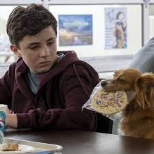Netflix added more controls for parents that allow them to limit the content their kids are watching by tv or movie rating. The Best Netflix Original Series For Kids 2021 Popsugar Family