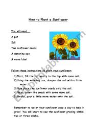 Click to view full image! English Worksheets How To Plant A Sunflower