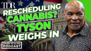 From Washing Cars to Cannabis: How Jon Saco Built an Empire