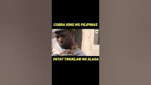COBRA KING NG PILIPINAS PATAY NG TUKLAWIN NG ALAGANG AHAS #shorts