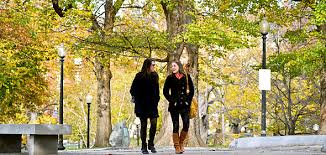 Just Admitted To Bu Financial Assistance Boston University