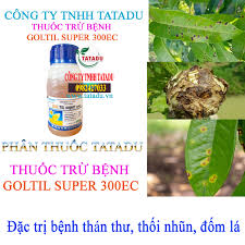 Goltil super 300EC