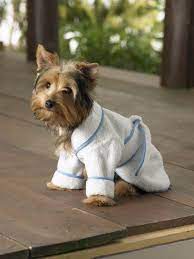 Kwik Sew 3431- Crafts Pet Robe Jacket House Dog Clothes Diy Pets Diy Dog Stuff