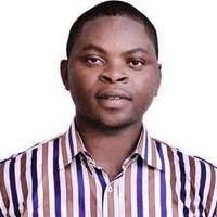 PDF) Error analysis regarding participants' final year projects