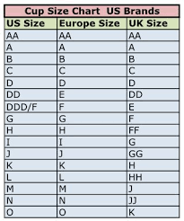 Bra Cup Size Chart Uk Bedowntowndaytona Com