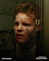 Find someone made just for you when Companion debuts