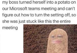 Microsoft teams recently added the ability to replace the background in your video feed with virtual images. 38 Great Pics And Memes Hand Picked For Your Viewing Pleasure Funny Gallery