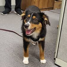 riley nipper - Search  X