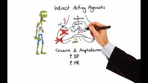 Pharmacology Adrenergic Receptors Agonists Made Easy